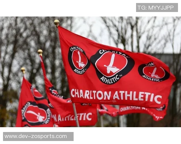 法国与意大利足球的辉煌历史与未来展望解析